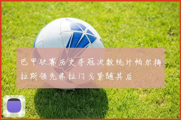 巴甲联赛历史夺冠次数统计帕尔梅拉斯领先弗拉门戈紧随其后