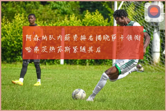 阿森纳队内薪资排名揭晓萨卡领衔哈弗茨热苏斯紧随其后